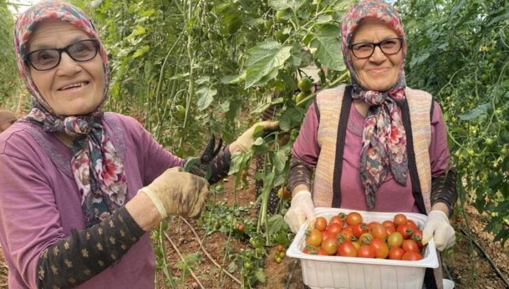 Her şey 46 yıl önce 5 çocuğu ile kocası tarafından terk edilince başladı